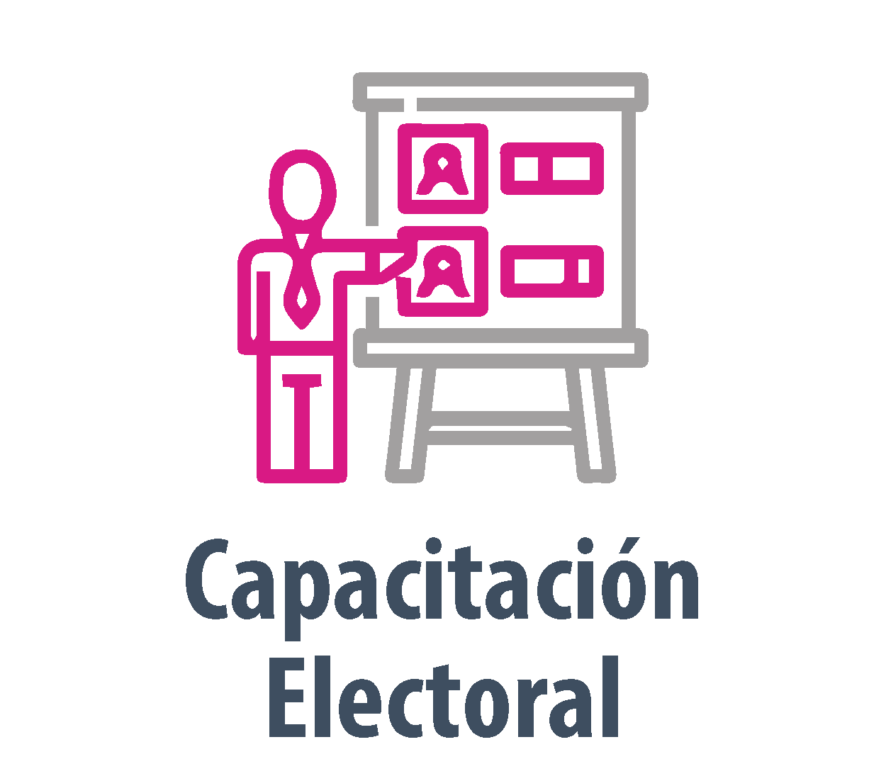Capacitación Electoral