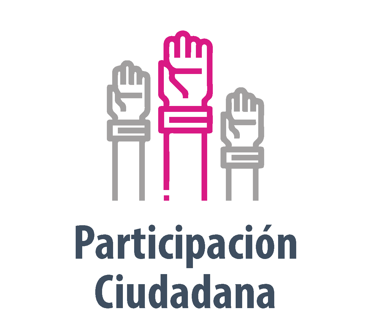 Participación Ciudadana