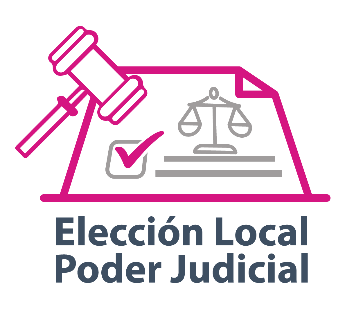 Elección Local Poder Judicial